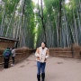교토여행 || 아라시야마 대나무숲에서 반나절 즐기기