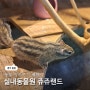 경기도 실내동물원 쥬쥬랜드 동물 먹이주기 체험