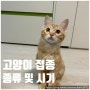 Q1. 고양이 접종의 종류와 시기?