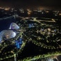 싱가폴 야경 명소 추천 skypark observation deck