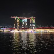 [싱가포르 여행] 싱가포르 마리나베이샌즈 쇼핑몰 푸드코트와 맛집 추천 및 저녁에 스펙트라 레이저쇼와 야경 분수쇼 보기