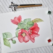 [감성 수채화 | 명자나무 꽃 그리기] 산당화 수채화, 다홍색 꽃 그리기