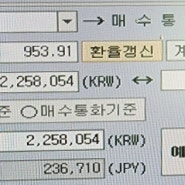 엔화투자 2호기 매수