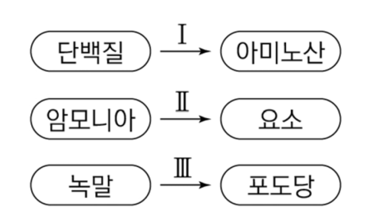 기출문제로 알아보는 물질대사의 예 : 네이버 블로그