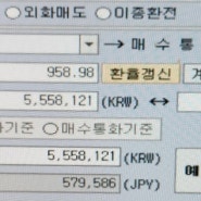 엔화투자 1호기 매수