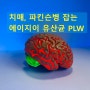 치매, 파킨슨 질병의 원인균 PM을 잡는 "에이지이 유산균 PLW"