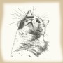 반려동물 그림, 고양이 드로잉 액자, 아이패드 디지털 drawing