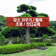 2023년 윤달-묘소 가꾸기, 벌목, 가토 조경 잔디