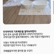 (내돈내산) 안양조리원 '디어맘' 후기 feat. 하루전날 조리원 바꾼 이유!
