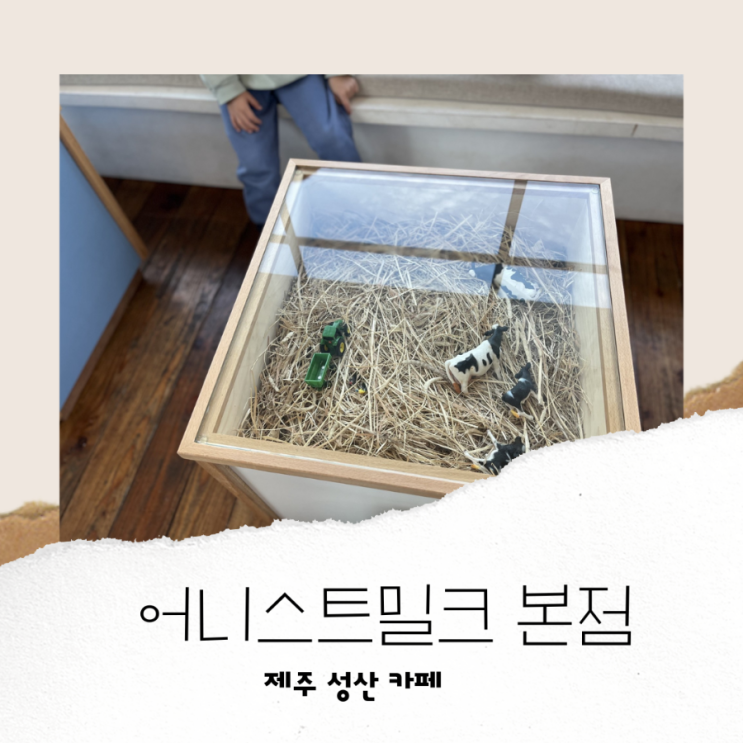 제주 성산 카페 어니스트밀크 본점 맛 Good! 체험 GOOD!