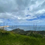[뉴질랜드여행] 무박2일 케이프렝아 Cape Reinga 여행기