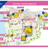 🌸후쿠오카 벚꽃 여행 준비2 :: 2023 후쿠오카성 벚꽃 축제 일정 & 일본 규슈 벚꽃 개화 시기