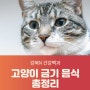 고양이가 먹으면 안되는 음식 총정리[강북N 건강백과], 길음미아동물병원 24시 N동물의료센터 강북점