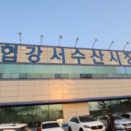 강서수협 강서수산시장 회떠온 후기 가격비교