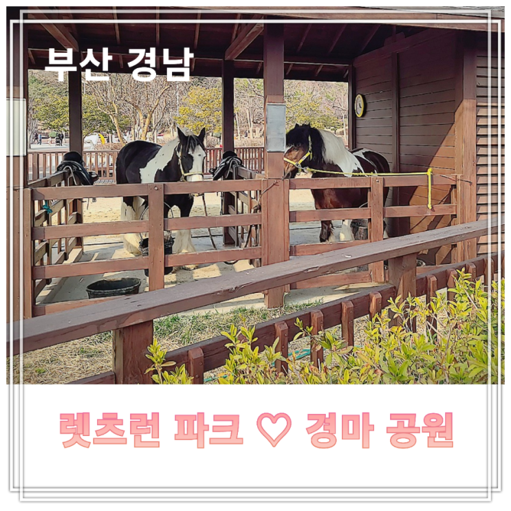 렛츠런파크 부산경남♡부산 아이와 가볼만한곳 #부산가족나들이