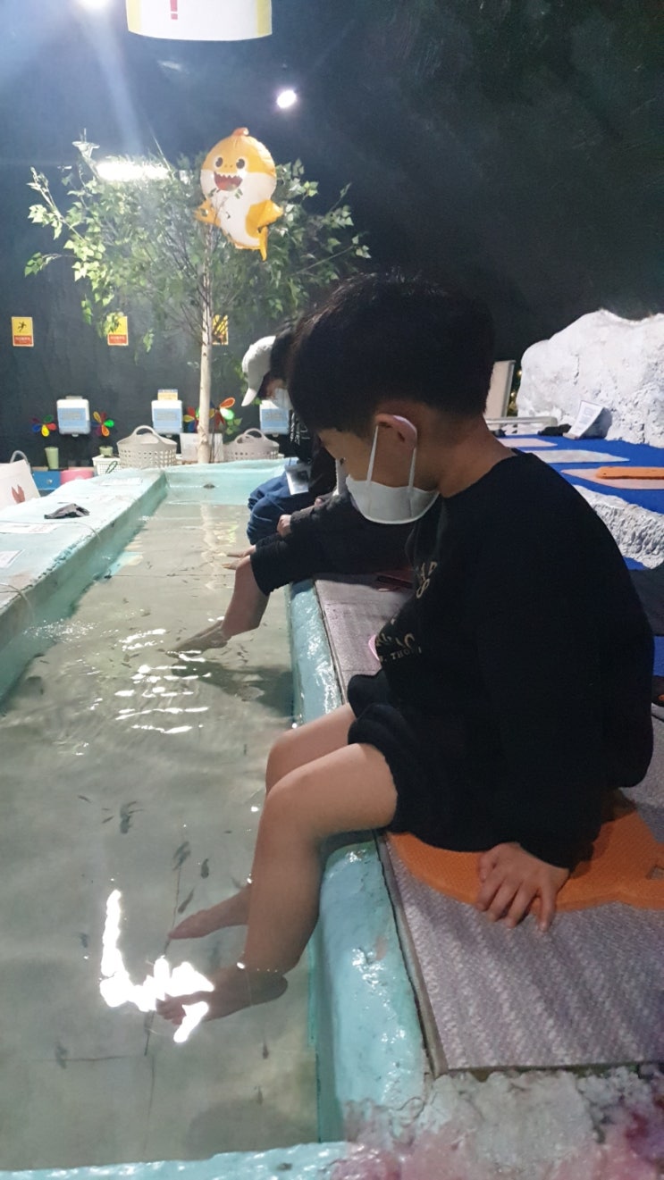 대전 여행 필수 코스 대전아쿠아리움 수족관 실내동물원 다양한 놀거리 만족 : 네이버 블로그 대전 여행 필수 코스 대전아쿠아리움 수족관 실내동물원 다양한 놀거리 만족 : 네이버 블로그