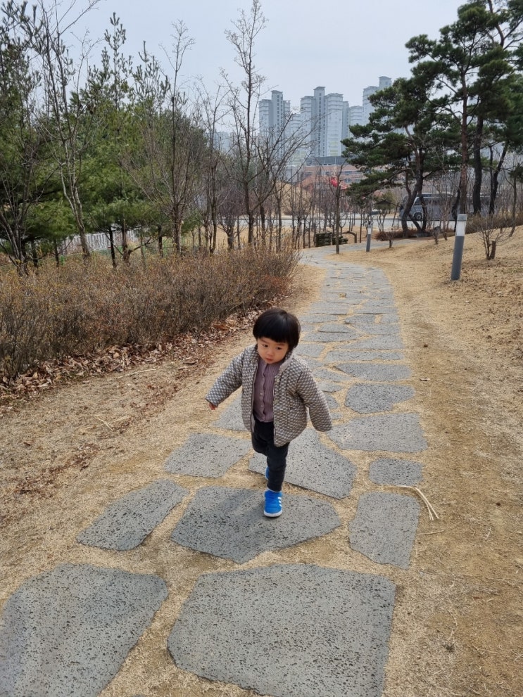 [김천근교 나들이]김천 유아숲체험원 주말나들이