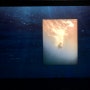 [성수역 전시] 나탈리 카르푸셴코 사진전, 고래와 여성🐋