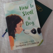 영어원서읽기 / How to Steal a Dog