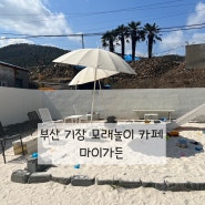 부산 기장 모래놀이 카페 마이가든