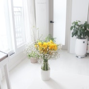 거실에서 바라본 봄의 시작, 노란 후리지아 꽃