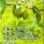 [성경통독] 한나미니스트리 제 47 일차, 신명기12장~15장
