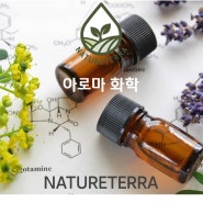 에센셜 오일의 화학 성분 Chemical components of essential oils