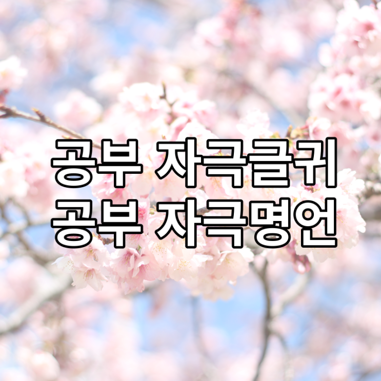 공부 자극 글귀 모음 총정리 : 네이버 블로그