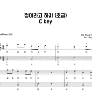 BIG Naughty (서동현) - 정이라고 하자 (계이름악보,초급버전,2단악보) / 연주영상 feat.10cm