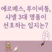 에르메스, 루이비통, 샤넬 3대 명품! \에.루.샤\가 모두 인정한 입지는?