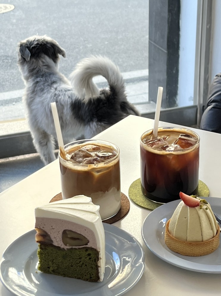 디저트 맛집 '파피커피베이크' (papi coffee bake) : 네이버 블로그