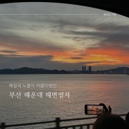 바다뷰가 예술인 해운대 블루라인파크 해변열차(미포 출발/가격, 운행정보)