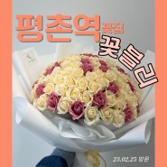 [평촌역꽃집] 평촌역꽃집 '꽃블리' 선물용 식물 사러가자!! 운영시간/위치안내