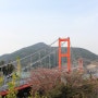 한국의 아름다운 길 남해대교와 벚꽃길