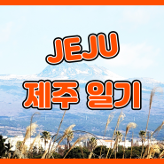 [김소피아] 제주살이 일기 - 집 앞 산책 오션뷰가 죽여줘요. 진심으로.