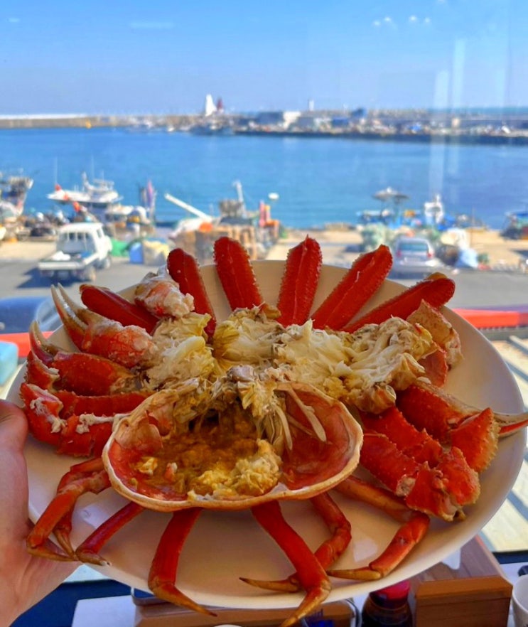울산 대게 맛집 오션뷰 정자 대게 코스요리 : 네이버 블로그
