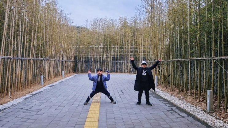 김천시립박물관, 김천 애견동반 가능한 사명대사공원 전통다원