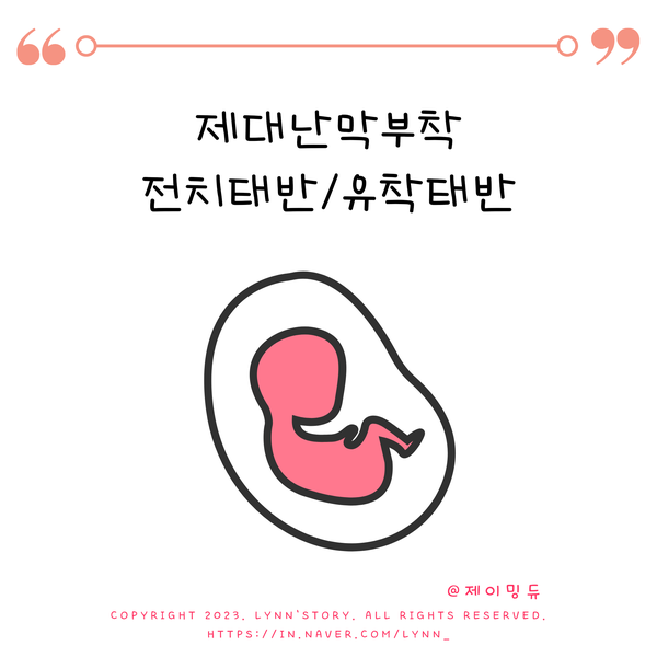 전치태반, 제대난막부착 예상? 출산 시 유착태반 경험 : 네이버 블로그