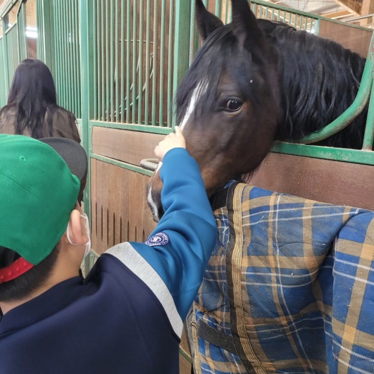 주말에는 렛츠런파크 부산경남 에서 렛츠런투어