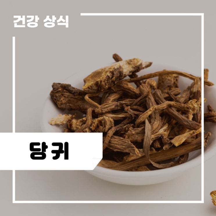 당귀 효능 5가지 및 부작용, 먹는법, 차 만들기 : 당귀차 이점 : 네이버 블로그