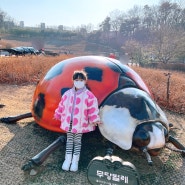 [서울 노원] 나들이 산책하기 좋은 '불암산 나비정원' 무료입장 아이와 가볼 만한 곳 추천