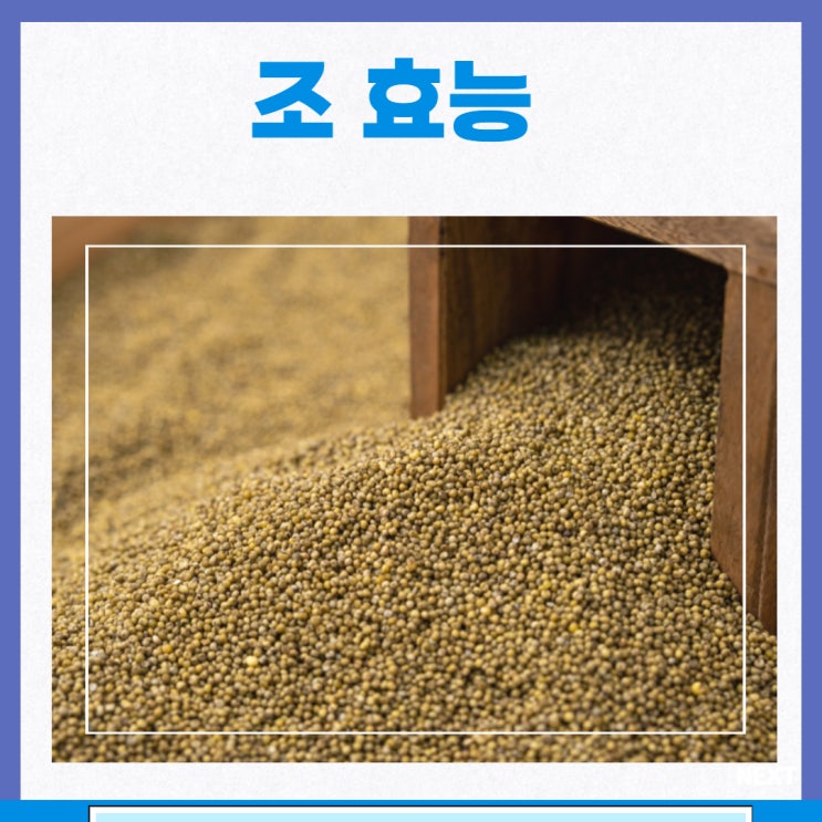 조 효능 칼로리 부작용 차조 : 네이버 블로그