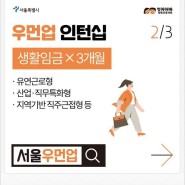서울 우먼업 프로젝트 | 우먼업 인턴십 자세히 알아보기