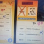 수원 화성 동탄 병점 봉담 향남 오산 SK케이블 지역케이블티비 유선방송 TV 설치(연결) 하는 방법
