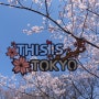 도쿄 벚꽃이 빨리 필 것 같아요! 벚꽃 명소 비교 + 할 수 있는 일들