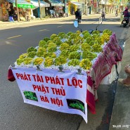 특이한 과일 불수감(부처손) 베트남 나트랑에서 처음봄