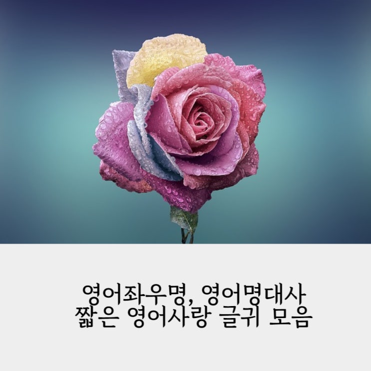 영어좌우명 영어명대사 짧은영어문장 짧은 영어사랑 글귀 모음 : 네이버 블로그