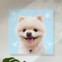 포메라니언 사진 강아지 그림 초상화액자 제작, 똑닮아