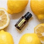 다재다능 레몬 에센셜오일 100% 활용하는 방법;도테라 레몬 에센셜오일