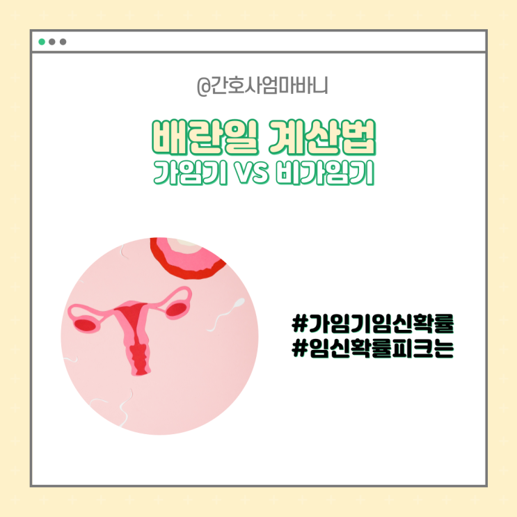 비가임기 가임기 임신확률 배란일 계산기 계산법 : 네이버 블로그